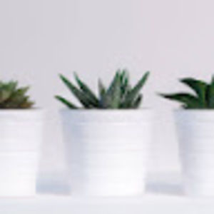 Meet your Posher, Vasu